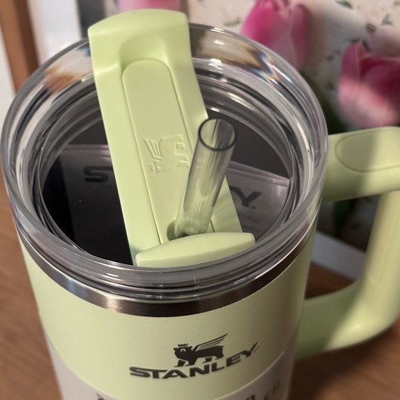 Pale Lime Stanley - Picture 4 of 5